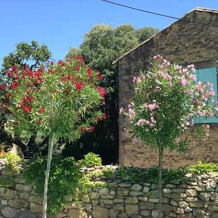 Maison d'hôtes A Gauche Du Pont *